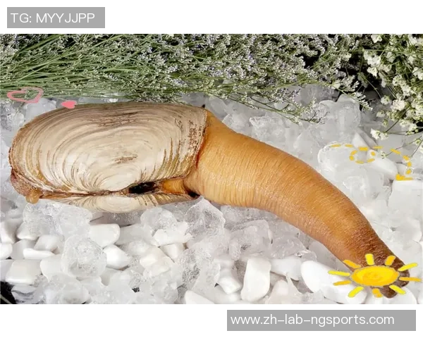 驴肉足球的魅力与文化探讨:美食与运动的奇妙结合之旅