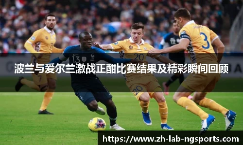 NG体育官网