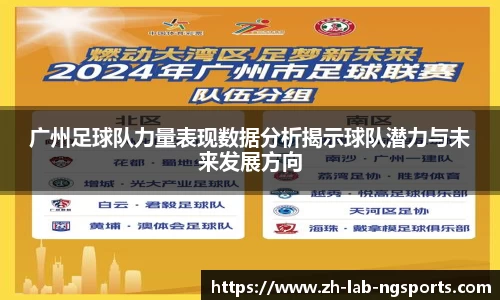 NG体育官网